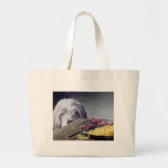 Die Versuchungs-" Tasche "des Mayas
