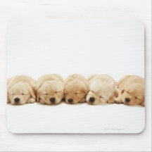 Die Welpen des golden retriever Mousepads