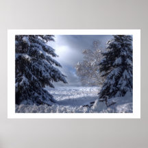 Die Winter-Bahn Plakat
