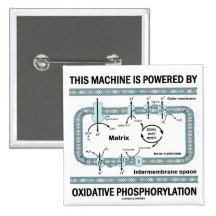 Diese Maschine angetrieben durch oxydierende Phosp Buttons