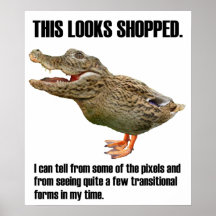 Dieses Crocoduck schaut gekauft Posterdrucke