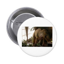 Dinosaurier Button