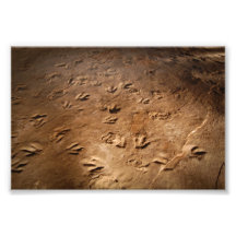 Dinosaurier-Fuß-Drucke Kunstphoto