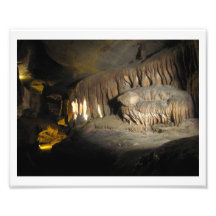 Dinosaurier-Zähne Fotografischer Druck