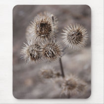 Distel des Winters - Druck mauspads