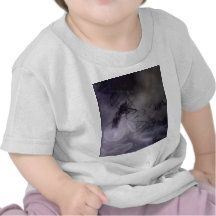 DNA-Labrador Tshirts