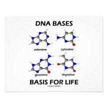 DNS basiert Basis für das Leben (Chemie-Moleküle) Personalisierte Einladungen
