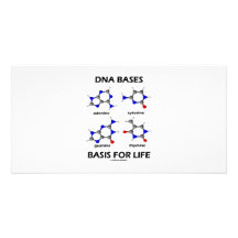 DNS basiert Basis für das Leben (Chemie-Moleküle) Photokarten