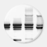 DNS-Gel Magnete