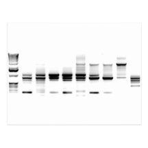 DNS-Gel Postkarten