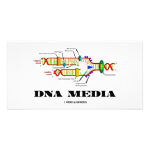 DNS-Medien Photokartenvorlage