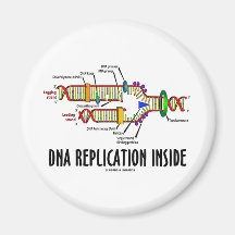 DNS-Reproduktions-Innere (DNS-Haltung) Kühlschrankmagnet