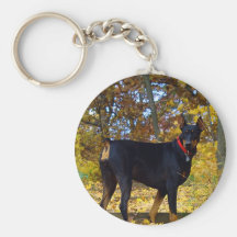 Dobermann Schlüsselband