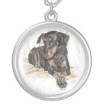 Dobermannpinscher-Hund mit den natürlichen Ohren Amulett
