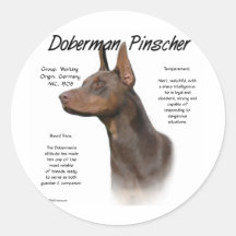 Dobermannpinscher-(roter) Geschichtsentwurf Runder Aufkleber