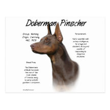 Dobermannpinscher-(roter) Geschichtsentwurf Postkarten