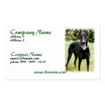 Dobermannpinscher-Visitenkarte