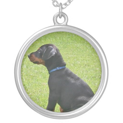 Dobermannpinscher-Welpen-Halskette