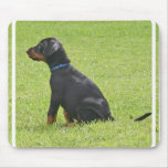 Dobermannpinscher-Welpen-Mausunterlage Mauspads