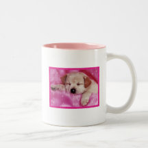 dog fofis teehaferl