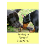 Dogge-und Dobermann-Postkarte