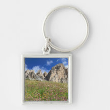 Dolomiti - geblühte Wiese Schlüsselanhänger