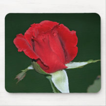 Don Juan Rose nach einem Regen Mousepad