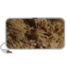 doodlesponge luidspreker