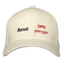 DPR plengsir Bestickte Caps