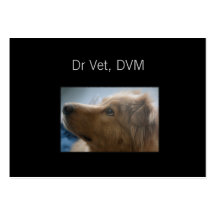 Dr. Vet, DVM Visitenkarten Vorlage