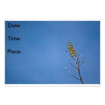 Drache-Fliege Invitaions Individuelle Einladungskarte