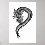 Drache-Schwarzweiss-Entwurf Plakat