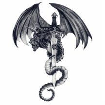Drache-u. Klinge-Foto-Skulptur Photo Skulpturen