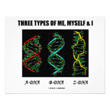 Drei Arten von mir, von selbst u. I (A-DNA B-DNA Z Ankündigung