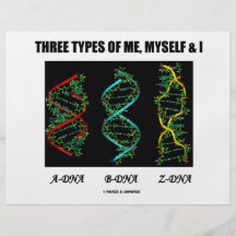 Drei Arten von mir, von selbst u. I (A-DNA B-DNA Z Flyerdruck