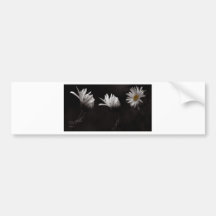 Drei Daisies3 Auto Aufkleber