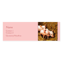 Drei kleine Schweine visitenkarten