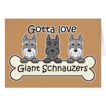 Drei Riesenschnauzer Grußkarte