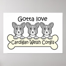 Drei Wolljacken-WaliserCorgis Poster