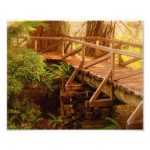 Druck des Friedens8x10 Kunstphotos