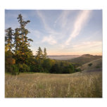 Druck des Sonnenuntergangs, Santa Cruz Mtns, Kalif Kunstphotos