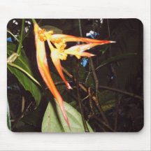 Dschungel Pflanze Mousepads