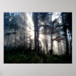 duester_nebelwald posterdrucke