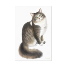 Duffy die Maine-Waschbär-Katzen-eingewickelte Lein Gespannte Galeriedrucke