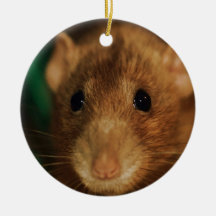 Dumbo Rattie Verzierung Ornamente