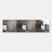 Dummkopf Shrike Auto Sticker