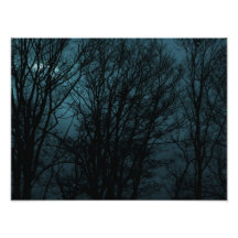 Dunkle Bäume Photographien