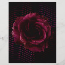 Dunkle Rose Flyerdruck