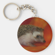Dunkler Igel Schlüsselbänder