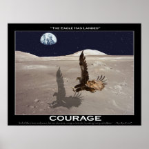 EAGLE HAT ~ Kunst-Plakat GELANDET
